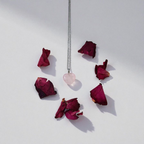 Collar de Cuarzo Rosa - Amor y Armonía Interior