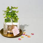 Jabón Ritualizado Limpieza Energética