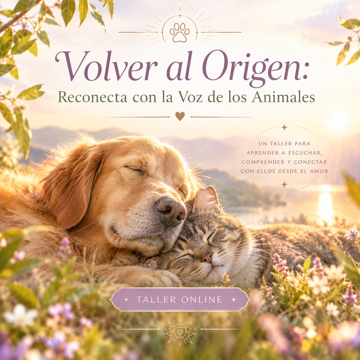 Volver al Origen: Reconecta con la Voz de los Animales